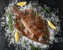 Raw Lemon Sole Fish On Ice With Herbs And Lemon Wedges