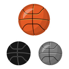 Vector illustration of sport and ball symbol. Collection of sport and athletic stock symbol for web.