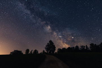 Wall Mural - milky way shining above a forest in switzerland