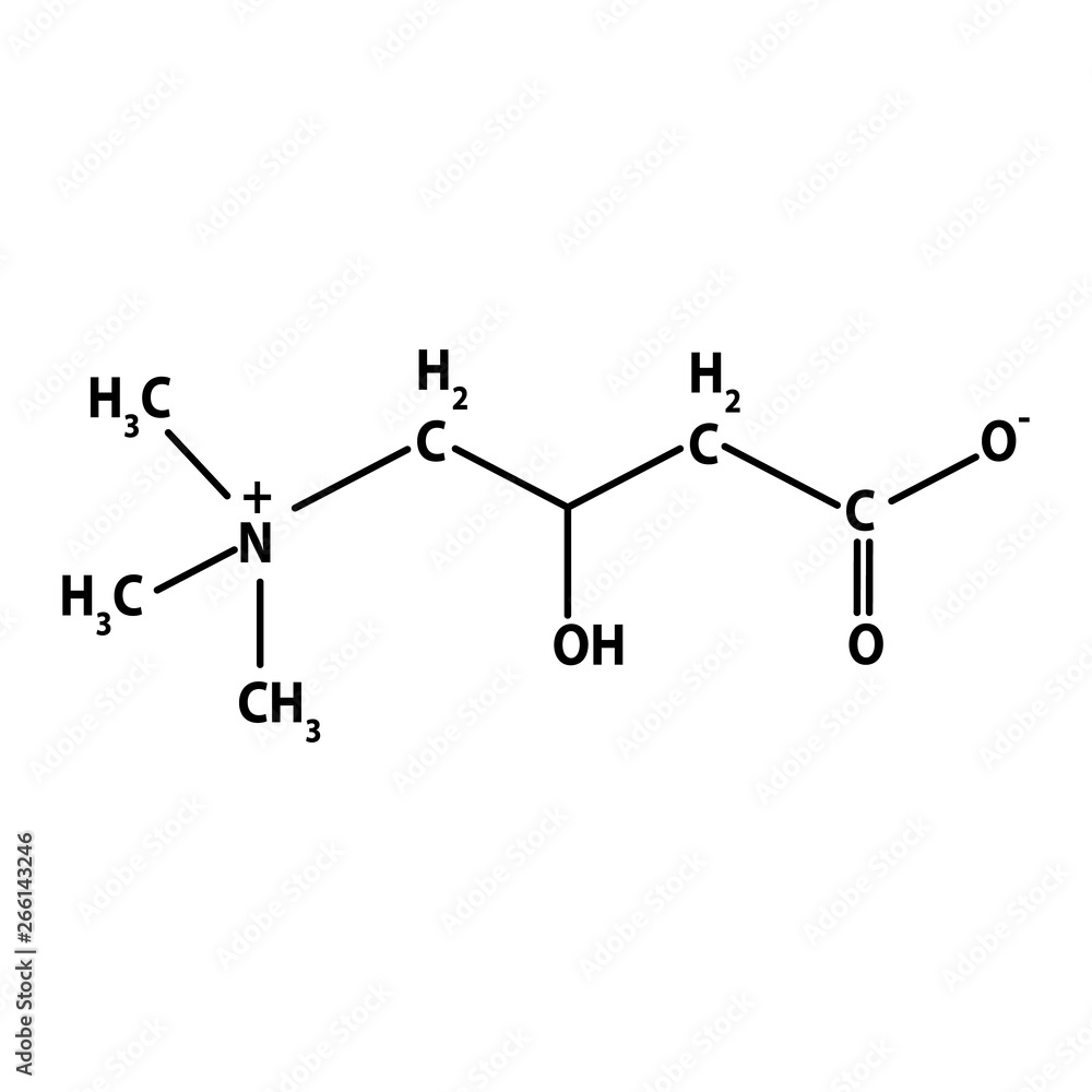Vitamin B11. L-carnitine Molecular chemical formula. Infographics. Vector  illustration on isolated background. Stock Vector