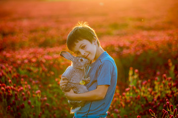 Canvas Print - Beautiful child with cute bunny in gorgeous crimson clover field on sunset