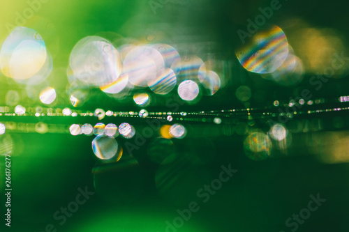 Fotografía green natural background with bokeh spring or summer morning with the dew on the