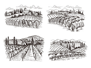 Wall Mural - vineyard. old france chateau wine landscape hand drawn vector illustrations for labels design projec