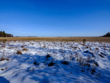 Fototapeta  - snow covered fields in countryside