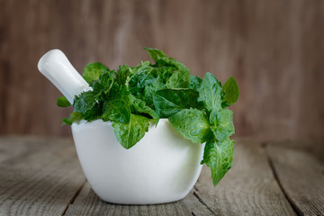 A bunch of green fresh curly mint