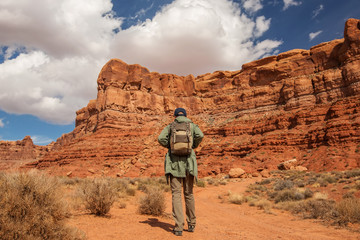 Wall Mural - hiker in valley of gods, usa