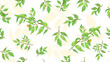 © Irina - Botanical background, laurel, ficus, tea. Green spring leaves. Watercolor seamless pattern. Design element for cover, invitation, booklet, printing.