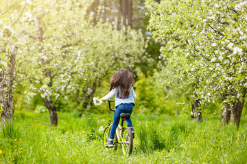 Wall Mural - Little girl rides a bike through a blooming orchard - spring