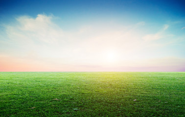 Wall Mural - Grass field landscape panoramic