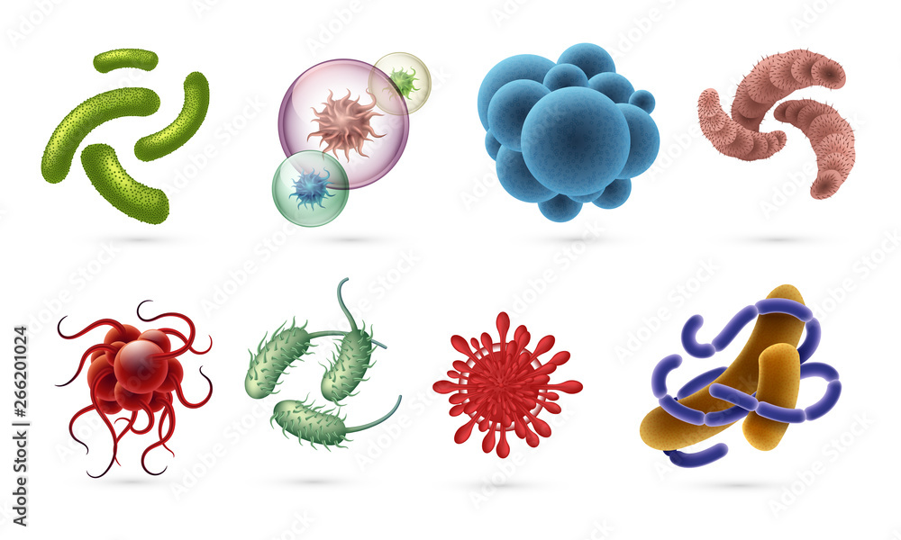 Realistic viruses. Germs and infection bacteria cells, microbiology objects visible in microscope isolated on white. Vector bacillus illustration set - obrazy, fototapety, plakaty 