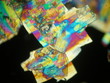 © Adrian - Liquid crystal under polarized light microscope