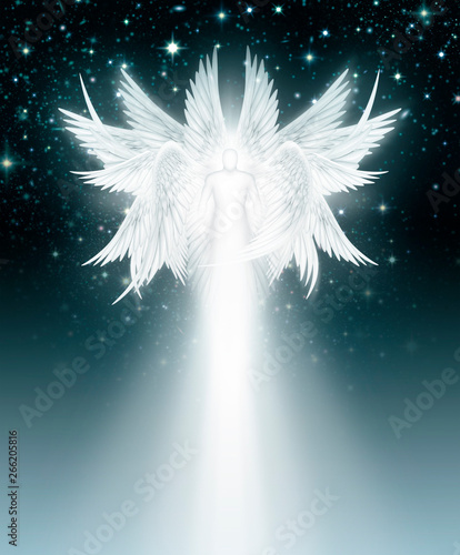 Fototapeta Multi Winged Angel in the Night Sky