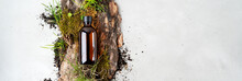 Beauty Natural Background With Bark Tree, Tiny Mosses And Grass Of Organic Cosmetic Products In Glass Brown Bottle. Flat Lay,