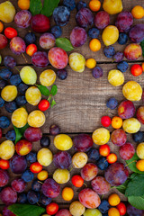 Sticker - variety of plums on wooden surface