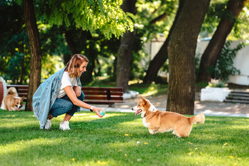 Wall Mural - Portrait of woman with dog Welsh Corgi Pembroke in dog park