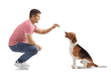 Canvas Print - Young guy giving a biscuit to a beagle dog