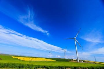 green yellow field one tree and windmill