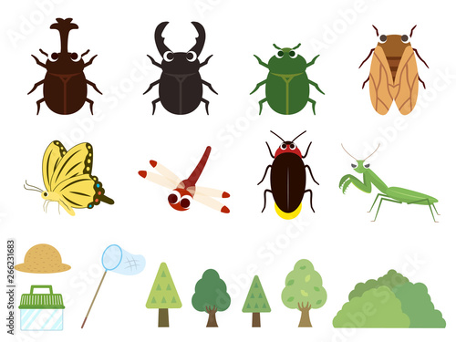 かわいい夏の昆虫イラスト素材 Stock Vector Adobe Stock