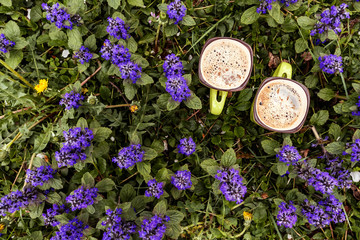 Two cups of coffee in flower. Outdoors. Place for text. Summer background, blue forest flowers.