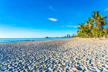 Wall Mural - Beautiful tropical outdoor nature landscape of beach sea and ocean with coconut palm tree