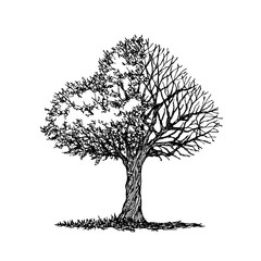 Abstract tree half leave and dry branch, spring autumn hand drawn vector illustration design