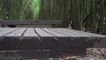 Low Shot Going Up Stairs In A Bamboo Forest In Maui Hawaii