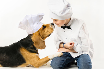 Wall Mural - funny boy in chef uniform and cute beagle dog in chef's cap cook dinner