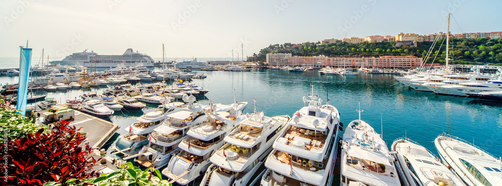 Panoramic view of port in Monaco, luxury yachts in a row - obrazy, fototapety, plakaty 