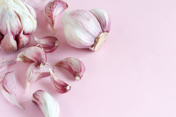 Fresh garlic on a light pink background