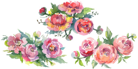 Peony bouquet floral botanical flowers. Watercolor background illustration set. Isolated bouquets illustration element.