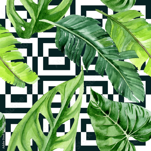 Naklejka nad blat kuchenny Palm beach tree leaves jungle botanical. Watercolor background illustration set. Seamless background pattern.