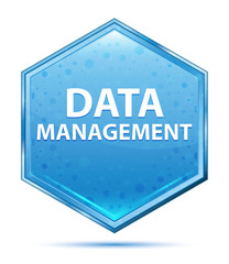 Wall Mural - Data Management crystal blue hexagon button