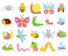 Cute Insects. Big Set Of Cartoon Insects For Kids And Children. Butterflies, Snail, Spider, Moth And Many Other