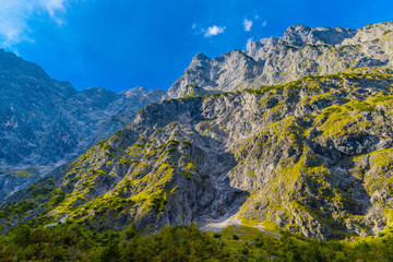 Wall Mural - Valley in Alps mountains near Koenigssee, Konigsee, Berchtesgaden National Park, Bavaria, Germany.