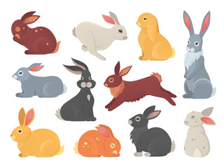 vector set of cute rabbits in cartoon style. bunny pet silhouette in different poses. hare and rabbi
