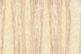 Fototapeta Desenie - nuclear ash-tree timber wood structure texture surface grain background