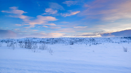 Wall Mural - snow covered landscape of pristine nature north of the arctic circle under a beautiful sky