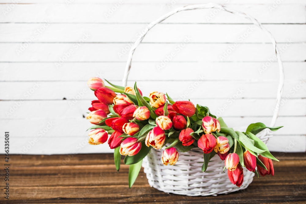 Spring tulip bouquet, basket with flowers. Background for women's day or mother's day card concept. - obrazy, fototapety, plakaty 