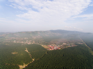 Aerial view uf a rural farmland with misty environment in the morning