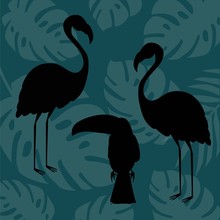 Two Flamingo And Ticuan. Vector Illustration