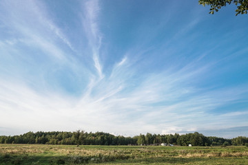 Wall Mural - beautiful sunny sky with white clouds. natural background. stock photo