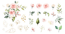 Set Watercolor Elements Of Roses Collection Garden  Pink Flowers, Leaves, Branches, Botanic  Illustration Isolated On White Background.