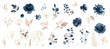 canvas print picture - Set watercolor design elements of roses collection garden navy blue flowers, leaves, gold branches, Botanic  illustration isolated on white background.