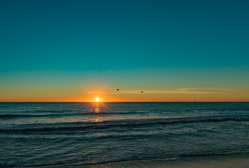 two pelican silhouettes flying in the distance over the ocean at sunrise