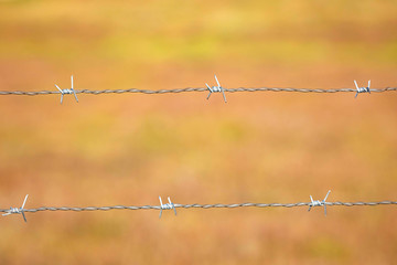 Wire fence close up