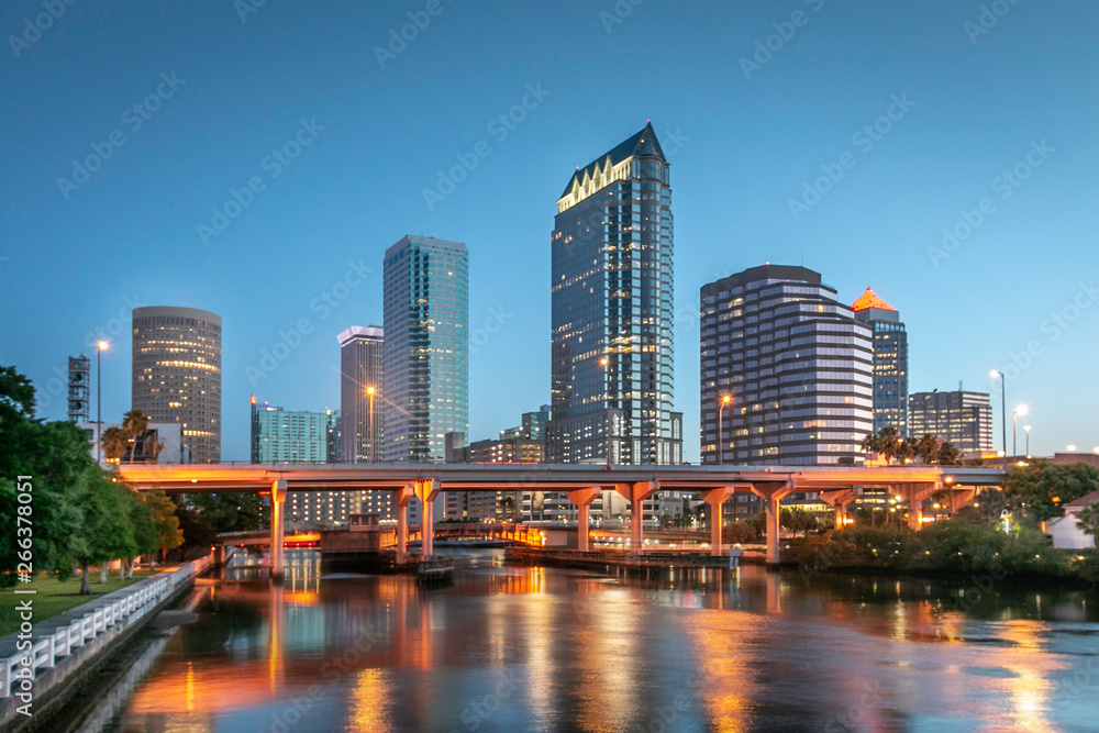 Tampa Bay Florida Skyline - obrazy, fototapety, plakaty 