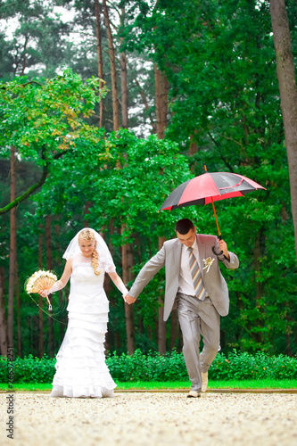 Wedding Beautiful Couple Walking In Green Summer Park Together