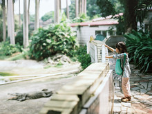 Asian Little Girl Observing The Crocodile In The Zoo .shot By 120 Films