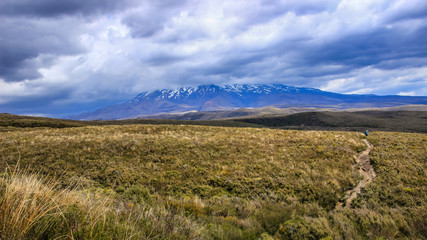 Wall Mural - Ruapehu