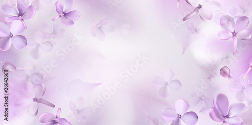 Dekoracja na wymiar  tlo-wiosna-kwiatowy-z-fioletowymi-kwiatami-bzu